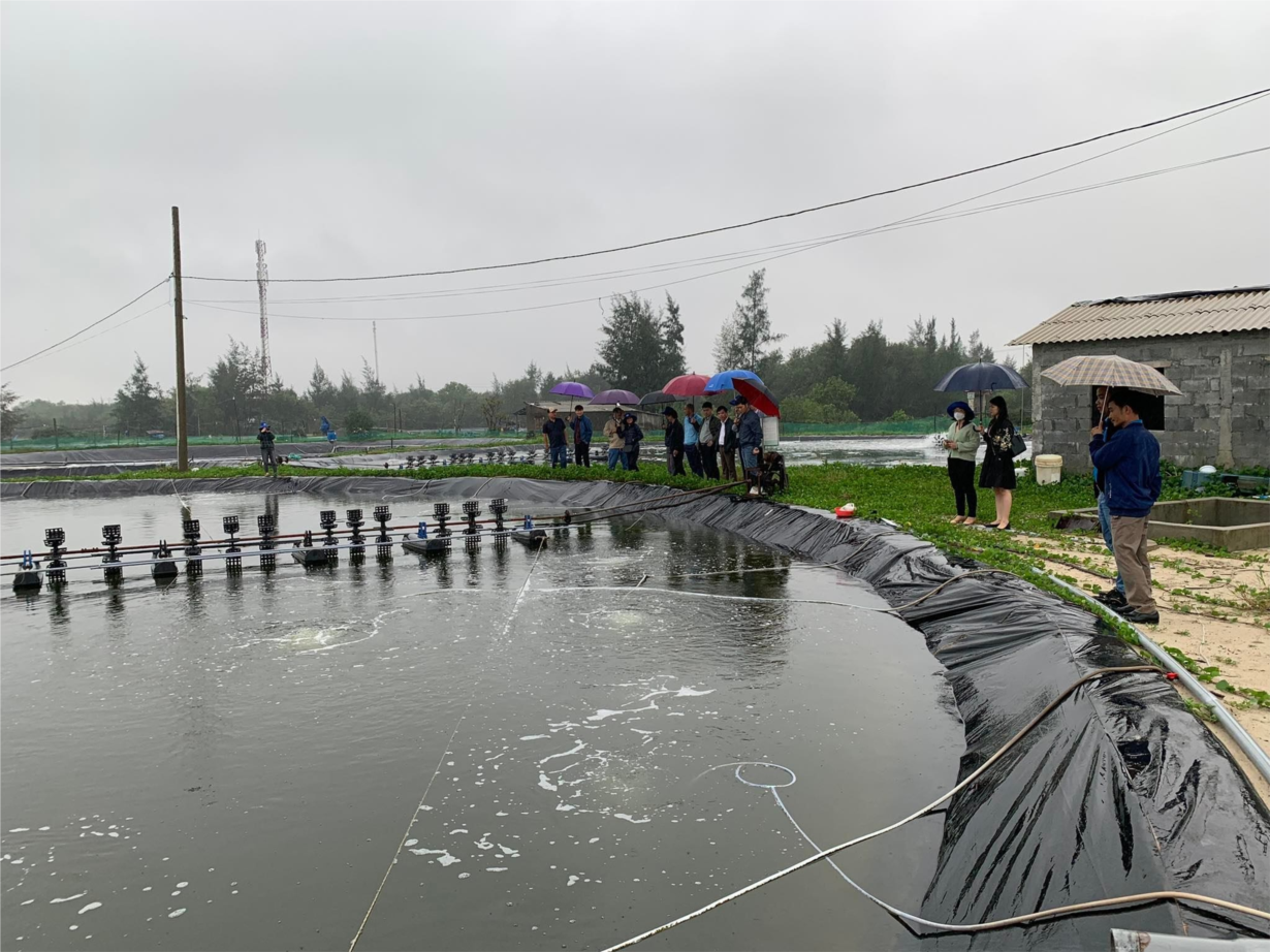   Giải pháp nuôi tôm nước lợ bền vững tại các tỉnh duyên hải  Miền Trung (08/12/2022)